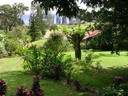 View of Malanai property from Hale Manu deck