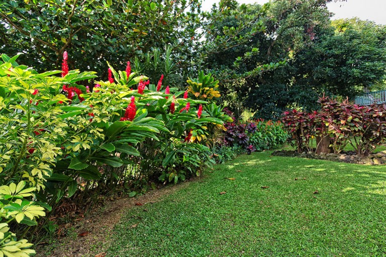 Hale Manu Garden